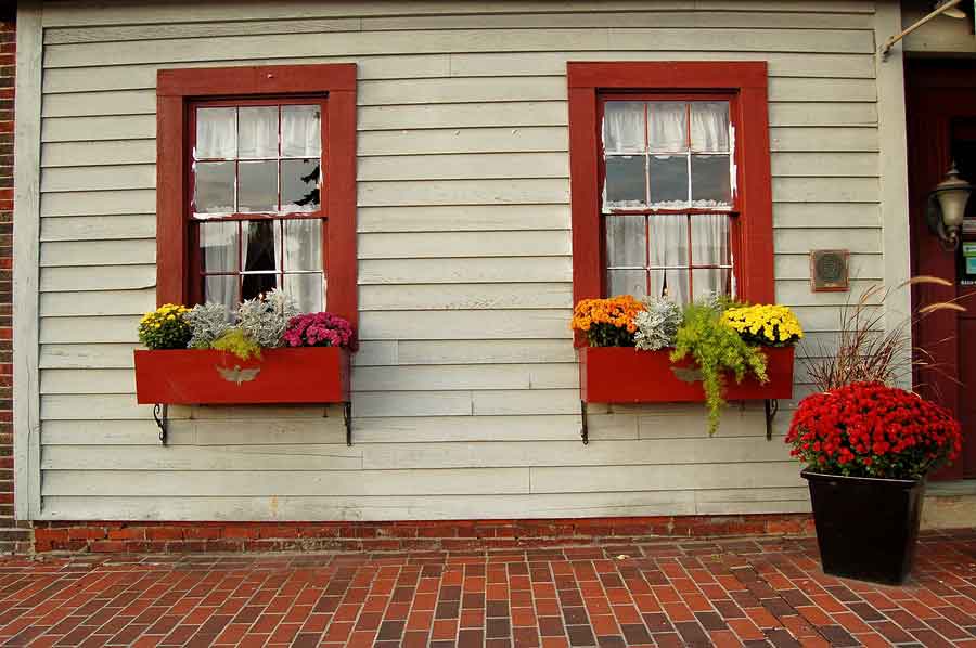 Try These Autumn Window Box Ideas to Make the Most of the Season